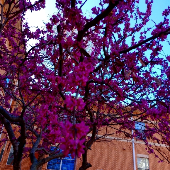 Meet your Posher, Carol - Picture 1 of 1